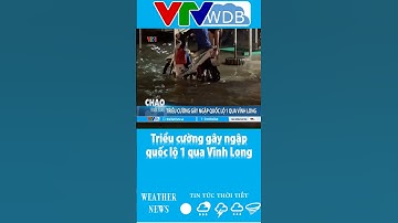 Triều cường gây ngập quốc lộ 1 qua Vĩnh Long | VTVWDB