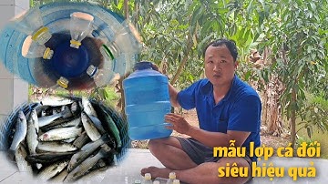 mẫu mới lợp đặt cá đối từ thùng đựng nước lọc bị hư