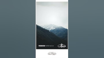 #تلاوات_قصيرة #تلاوة_مميزة #تلاوة_هادئة #قران_كريم