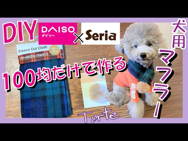 Super Easy Dog Clothes] How to Make a Dog Pom-Pom Scarf Using Only