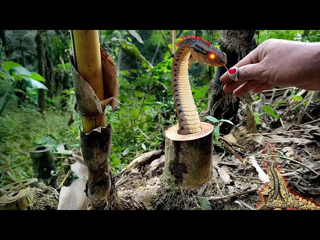 potong bambu berisi pusaka siluman ular class=