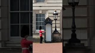 King's Guard at Backingham Palace