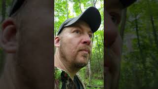 Following Bigfoot tree knock