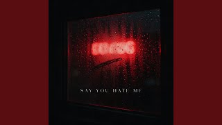Say you hate me