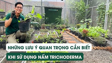 Tập 33 - Những lưu ý quan trọng nhất định phải biết khi sử dụng nấm trichordema