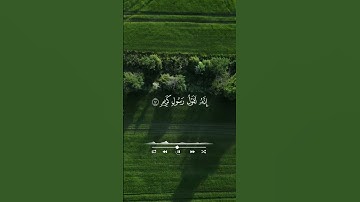 القارئ محمد اللحيدان من سورة الحاقة #اكسبلور #القران