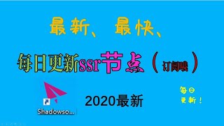 如何给视频无脑添加字幕【网易见外】（记得订阅哦）
