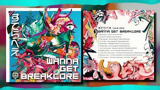 すてらべえ - WANNA GET BREAKCORE [UNOFFICIAL VISUALIZER] - YouTube