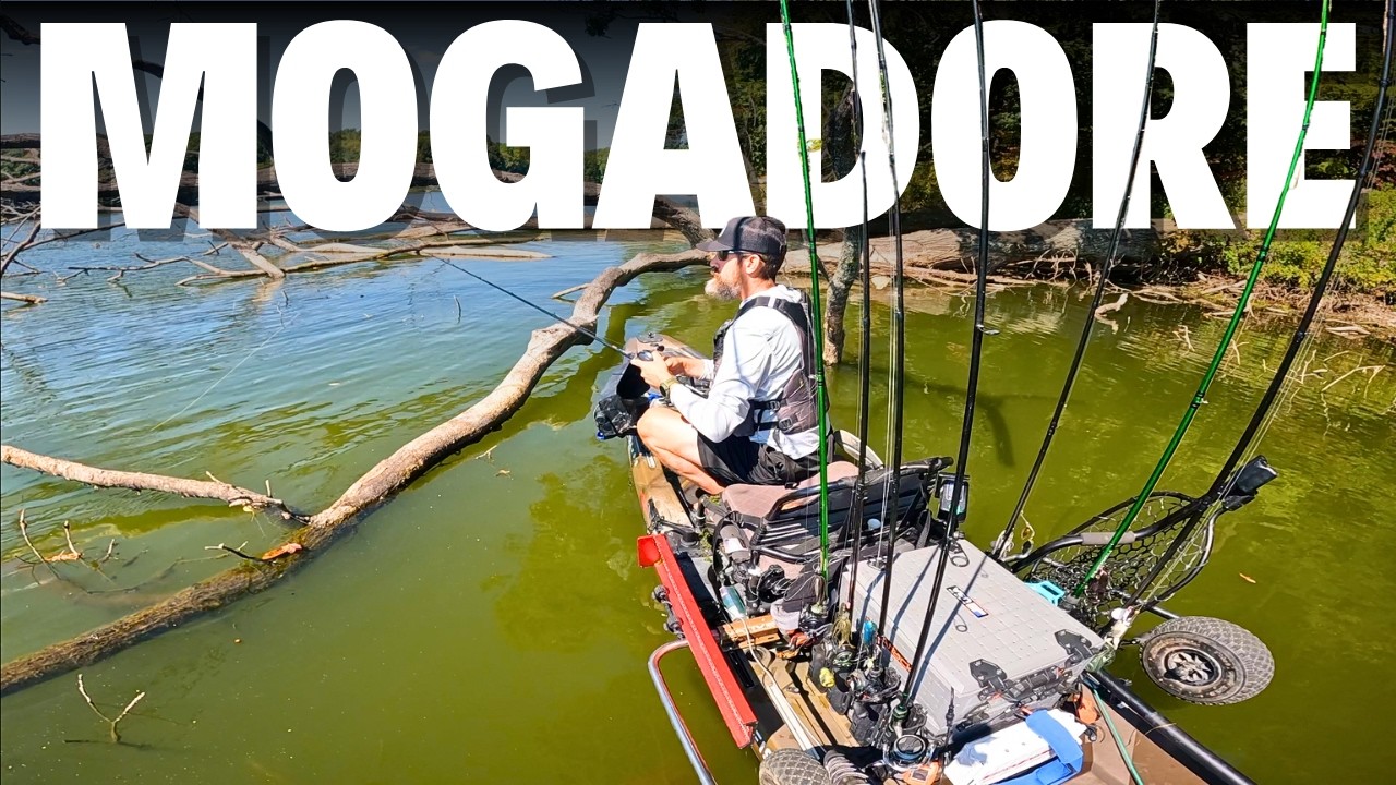 This Lake is COVERED in Laydowns (Perfect for Bass!)