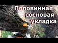 Залез - спилил, слез - распилил. Повторить 5 раз.