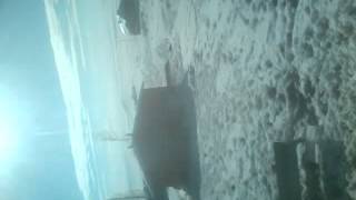 Ismail Tek Hopde Bakım Resimi