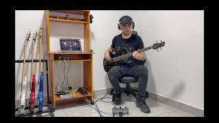 Madness - Muse (bass cover using the Darkglass Anagram)