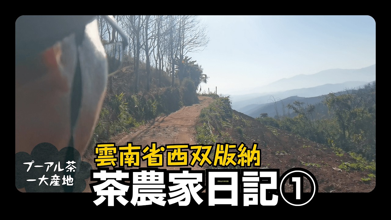 雲南省・プーアル茶農家日記