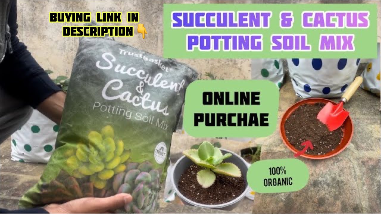 Succulent & Cactus Organic potting Soil mix#amazon #gardening # ...