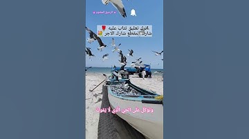 وَتَوَكَّلْ عَلَى الْحَيِّ الَّذِي لَا يَمُوتُ - سورة الفرقان - الاية ٥٨