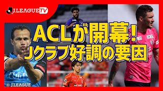 【博実のトーク部屋】Jリーグ一丸となって戦っているACL。Ｊリーグをもっと好きになる情報番組「ＪリーグTV」2021年6月30日