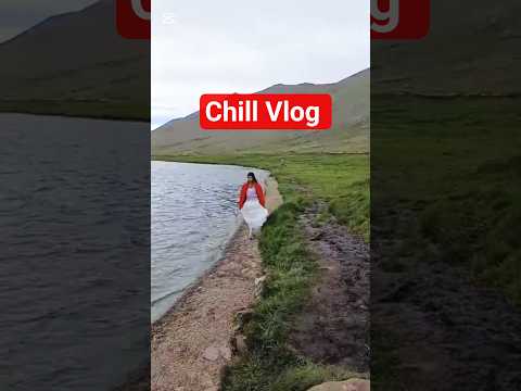 Fine Food Finer Mood