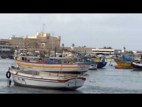 اخيرا شوفت الكورنيش فى إسكندرية و بأكل السمك الصغير رانيا النجار