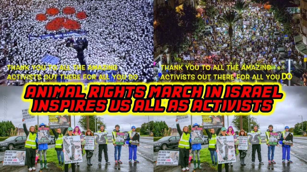 Biggest Animal Rights March In World In Israel My Thoughts? - YouTube