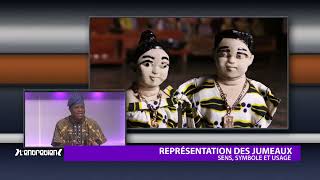 Entretien : Représentation des jumeaux - Sens, symbole et usage