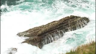 Focus Roa ! (No Copyright Music) ! Audio Dot !