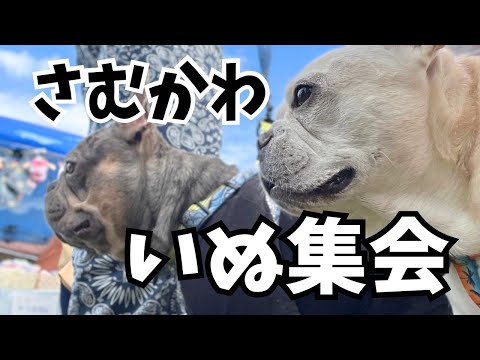 バズってる弟、喋りません!ww いつも寝ている兄、起きてます!ww
