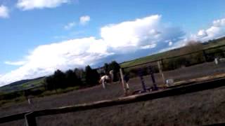 Easter camp 2012 day 2 ponygames!! ;)