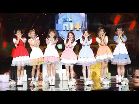 04. Cosmos -  홍단소녀 (Hongdan Girls)