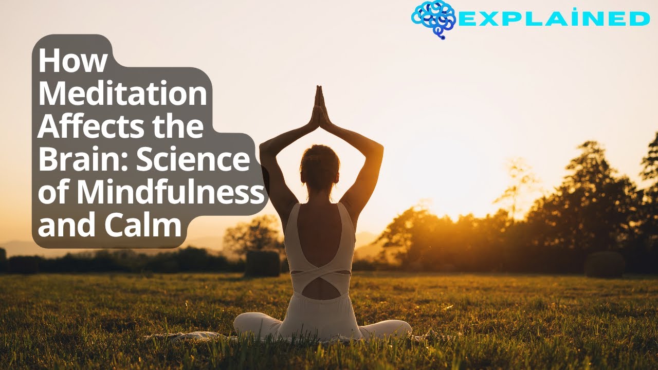 How Meditation Affects the Brain: Science of Mindfulness and Calm