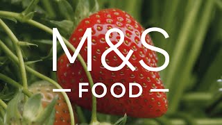 Red Diamond Strawberries | Episode 1 | Fresh Market Update | M&S FOOD screenshot 3