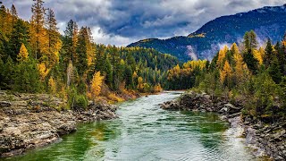Serene River Ambience: Relaxing Sounds for Peaceful Sleep Study and Mindful Relaxation