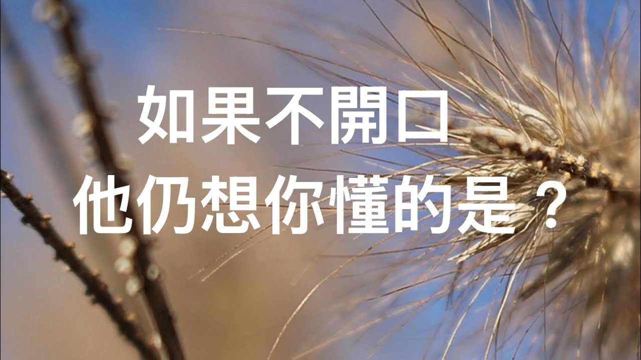 塔羅占卜🔮如果不開口 他仍想讓你懂的是？