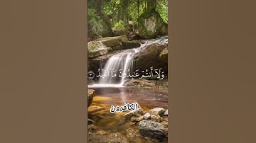 تلاوة جميلة سورة الكافرون القارئ الشيخ ماهر المعقلي