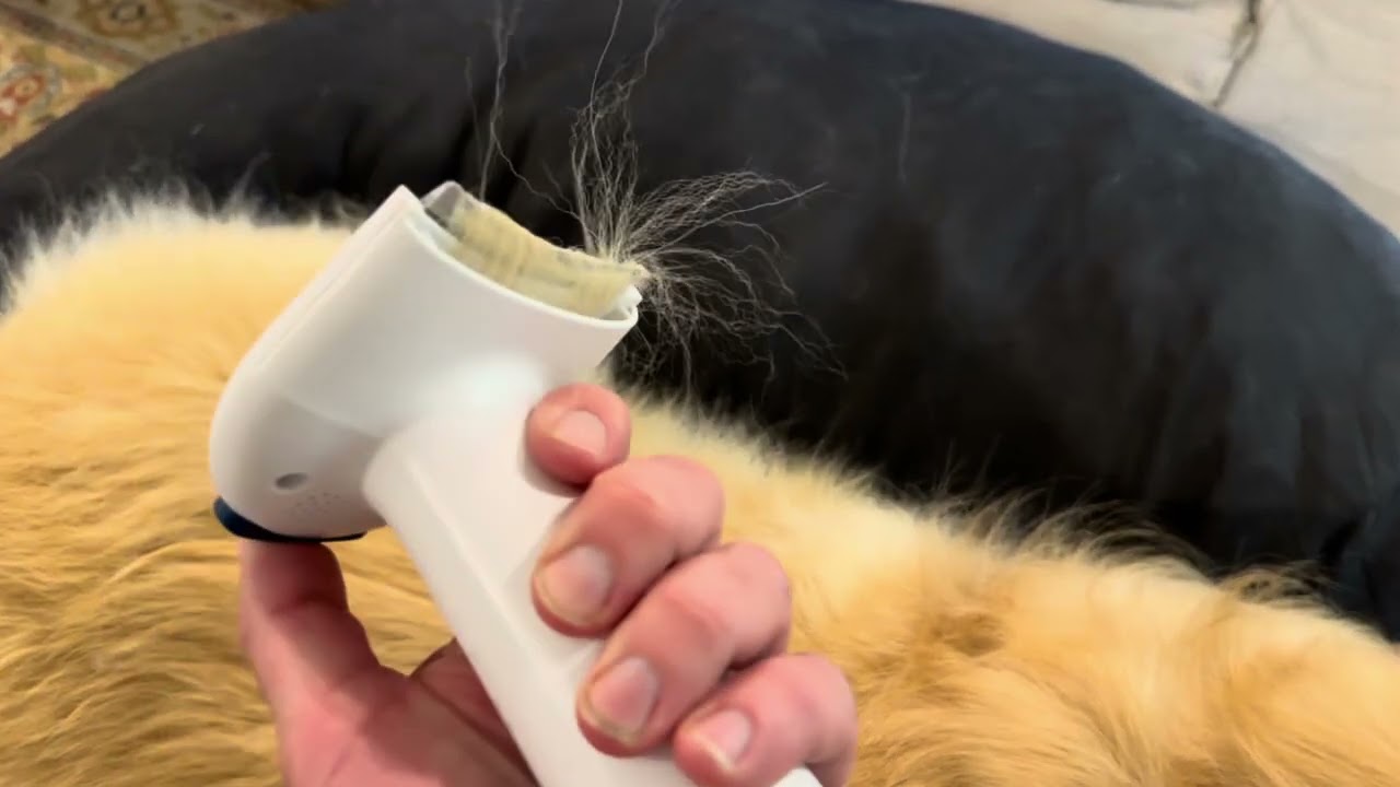 oneisall Dog Hair Vacuum & Dog Grooming Kit Review