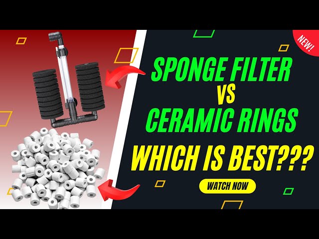 aquarium ceramic rings vs filter floss comparison