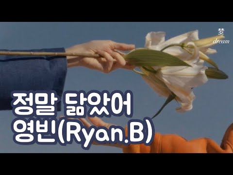 [像极了/永彬]믿고 듣는 중국가수 Ryan.B의 봄에 듣기 좋은 설렘 가득 띵곡추천(中文/ENG/한글자막)
