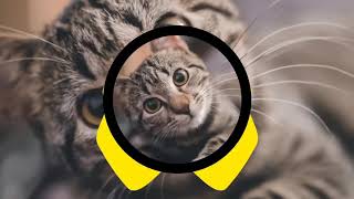 EKO'DISCO - 2021 BAJALANG DENG PACAR BARU(HYBRID).FULL BASS