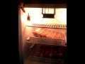 Homemade egg incubator made out of a mini fridge Homemade egg incubator made out of a mini fridge