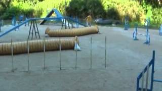 20090826-2.wmv