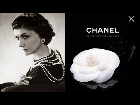 Любимый цветок Коко Шанель. Камелия - YouTube