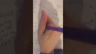 unit 4 lesson 11 part 2