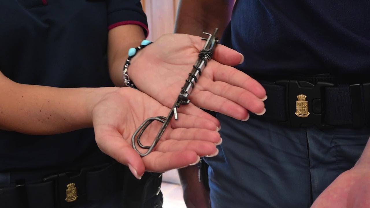 XPEX Set 2 Grimaldelli Universali Professionali - Chiavi Passepartout Per Serrature