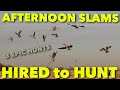 AFTERNOON SLAMS ... 3 Epic Hunts_Hired to Hunt Season 6: Hunting Limits of Ducks & Geese at Ongaro's