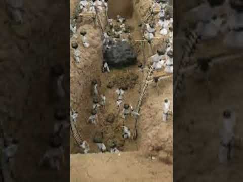 غزوة الخندق الجزء الأول د طارق السويدان 