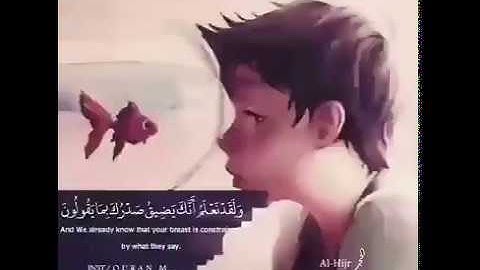 تلاوة خاشعة من آيات سورة الحجر بصوت القارئ الشيخ / هلويست نصر الدين