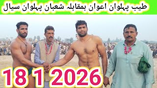 Download Lagu Taiyab Pehilwan Awan VS Shaban Pehilwan Sial Uzair Khan Studio # Viral MP3