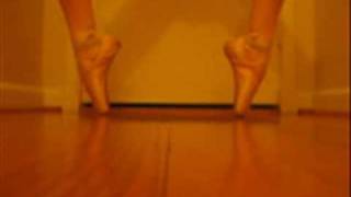Grishko 2007 And Bloch B-Morph Pointe Shoes