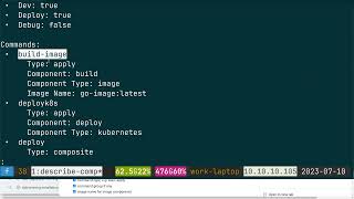 List of Devfile commands in odo describe component