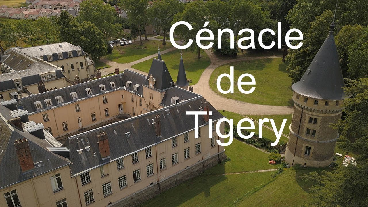 Tigery by drone