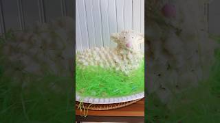 Easter Lamb Cake #cookingathome #recipe #baking #dessert